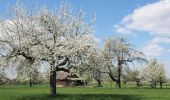 Tour Zu Fuß Leonberg - DE-SAV Blauer Balken, Höfingen Bahnhof - Weissach - Photo 3