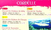 Randonnée Marche Cordelle - Cordelle : Terrenoire et versant sud - Photo 2