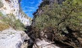 Tour Wandern Joucas - Gorges de Véroncle au départ de Joucas - Photo 12