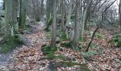 Excursión Senderismo Ballancourt-sur-Essonne - père la musique bal asdl - Photo 1