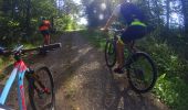 Tocht Mountainbike Couvin - mariembourg - Photo 7