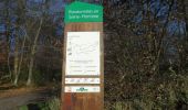 Trail Walking Oissel - 20220111-Oissel-Les Essarts - Photo 12