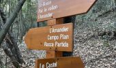 Percorso Marcia Levenzo - St Blaise - Photo 4