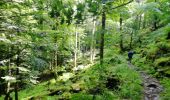 Trail Walking La Bresse - Kastelberg des pierres, des lacs, des panoramas magnifiques  - Photo 18