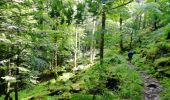 Tour Wandern Woll - Kastelberg des pierres, des lacs, des panoramas magnifiques  - Photo 18