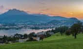 Excursión A pie Lucerna - Luzern - Talacheri - Photo 2