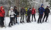 Trail Snowshoes Les Rousses - Gites Chagny. Fort des Rousses  - Photo 3