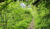 Trail Walking Dinant - Foy Notre Dame 250424 - Photo 16