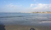 Trail Walking Agde - Grau d’Agde - Photo 1