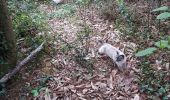 Excursión Senderismo Livron - tour au bois avec 3 chats 10042021 - Photo 3