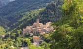 Randonnée Marche Labastide-sur-Bésorgues - Labastide Faux-Fay 17km. - Photo 3