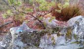 Trail Walking Fontainebleau - Un merle sur son mont - Photo 8