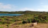 Tocht Stappen Le Moule - Anse Petite Savane - Anse à l'Eau 2 - Photo 1