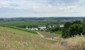 Trail Walking Stadtbredimus - Stadtbremdimus 17,6 km - Photo 10