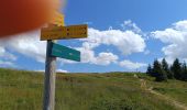 Tour Wandern Crêts-en-Belledonne - Refuge du Crêt du poulet-col de Merdaret-Bois Vert - Photo 20