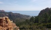 Randonnée Marche Saint-Raphaël - Le drapeau - Photo 10