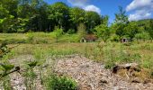 Trail Walking Meix-devant-Virton - Gerouville 060723 - Photo 11