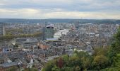 Tour Wandern Lüttich - Liège Centre-ville & Coteaux - Photo 9