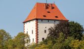 Tour Zu Fuß Ziegenrück - Wanderweg blaues Kreuz - Photo 1