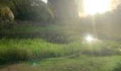 Trail Running Sainte-Anne - Liard saint Robert - Photo 1
