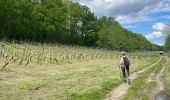 Tocht Stappen Aarschot - Gelrode -Arschot - Photo 10