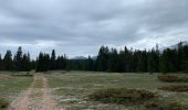 Tour Wandern Saint-Agnan-en-Vercors - La Coche - Photo 1