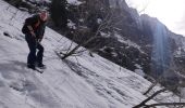 Tour Schneeschuhwandern Abondance - monté lac des plagnes  - Photo 2