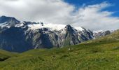 Tocht Stappen La Grave - Plateau d'Emparis - Photo 9