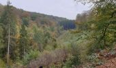 Randonnée Marche Bièvre - Balade de Gros-Fays à Cornimont - Photo 6