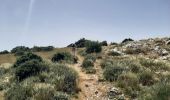 Trail Walking Plan-d'Aups-Sainte-Baume - Hostellerie de la Ste Baume / Pas de L'AÏ / Le paradis / Col de St Pilon  16 juin 2022 - Photo 9