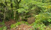 Randonnée Marche nordique Lauroux - Labeil Forêt de L'Escandorgue Roquet Escu - Photo 4