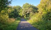 Trail Walking Reugny - Reugny - Vignes et Brenne - Photo 13