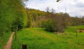 Excursión Senderismo Doische - De Gochenée à Vodelée par la vallée de l'Hermeton - Photo 14