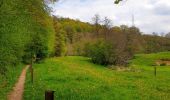 Tocht Stappen Doische - De Gochenée à Vodelée par la vallée de l'Hermeton - Photo 14