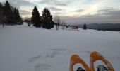 Tour Schneeschuhwandern Le Valtin - 14-12-19 Schlucht raquettes - Photo 4