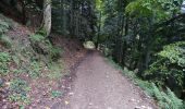 Trail On foot Dingy-Saint-Clair - PR Boucle du Parmelan - Photo 2