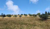Trail Walking Lans-en-Vercors - mm - Photo 3