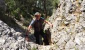 Tour Wandern Saint-Rémy-de-Provence - Mt Gaussier - Photo 16