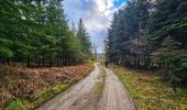 Tour Wandern Vielsalm - Balade à Salmchateau - Photo 15