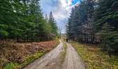 Tocht Stappen Vielsalm - Balade à Salmchateau - Photo 15
