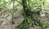 Tour Zu Fuß Gevelsberg - Aske Rundweg A4 - Photo 2