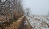Percorso Marcia Waimes - Extratrail de Malmedy 🥾 - Photo 3