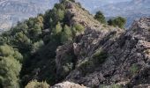 Tour Wandern El Pinar - Ermita del Santo Cristo del Zapato - Photo 3