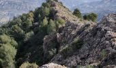 Randonnée Marche El Pinar - Ermita del Santo Cristo del Zapato - Photo 3