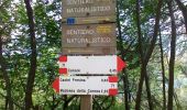 Tour Zu Fuß Ferrara di Monte Baldo - Canale - Madonna della Corona - Photo 3