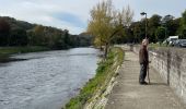 Excursión Senderismo Esneux - Boucle de Ourthe tour du château Esneux - Photo 3