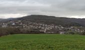 Trail Walking Berdorf - Entre Luxembourg et Allemagne  - Photo 13