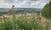 Tocht Stappen Bouillancourt-en-Séry - Bouillancourt en Sery - Photo 5