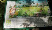 Percorso Marcia Sélestat - Sélestat le Grand Ried - balade dans la forêt de l'II - passerelles - Photo 11