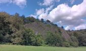 Trail Walking Comblain-au-Pont - ambleve . pic de Napoléon . roches noires . ourthe  - Photo 13